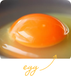 egg