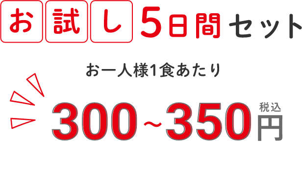 お試し5日間セット お一人様1食あたり300円（税込）